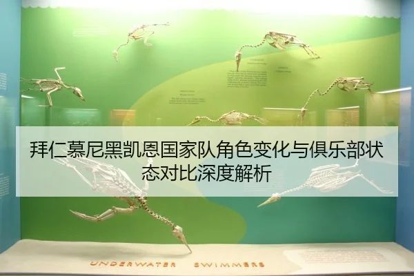 bai-ren-mu-ni-hei-kai-en-guo-jia-dui-jue-se-bian-hua-yu-ju-le-bu-zhuang-tai-dui-bi-shen-du-jie-xi-2-855.jpg