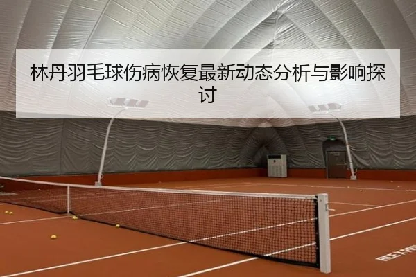 林丹羽毛球伤病恢复最新动态分析与影响探讨