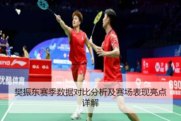 樊振东赛季数据对比分析及赛场表现亮点详解