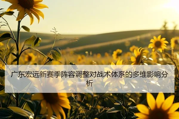 广东宏远新赛季阵容调整对战术体系的多维影响分析