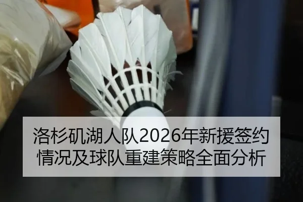 洛杉矶湖人队2026年新援签约情况及球队重建策略全面分析